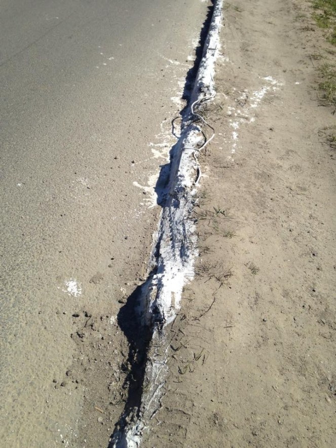 11138167_10153724871912388_5014782758896786973_n