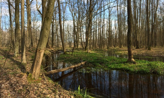 IMG_1611 - копия