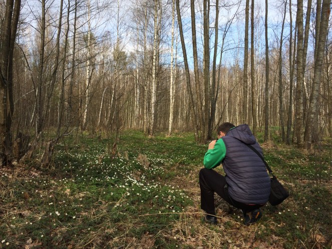 IMG_1616 - копия