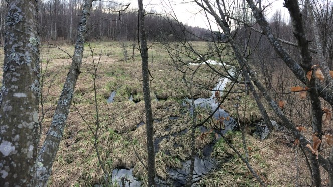 IMG_1651 - копия