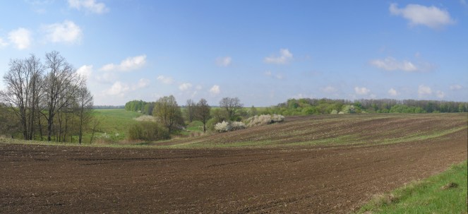 SAM_4920 Panorama.jpg