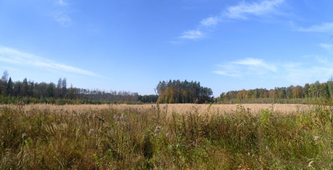 SAM_3740 Panorama
