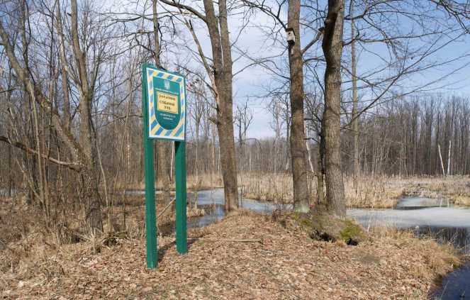 DSC_0555_DSC_0559Panorama