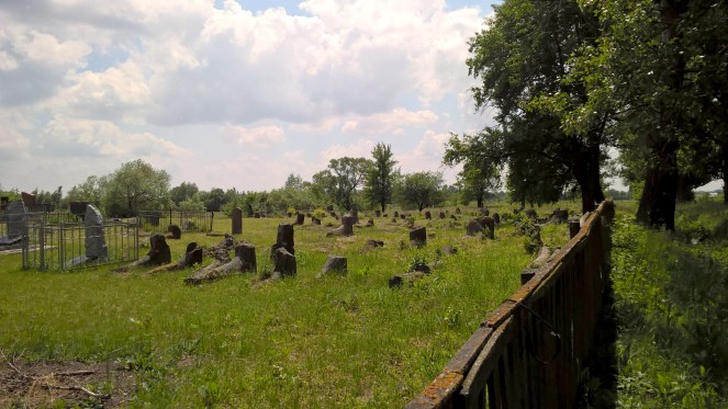 wp_20160529_13_40_18_pro