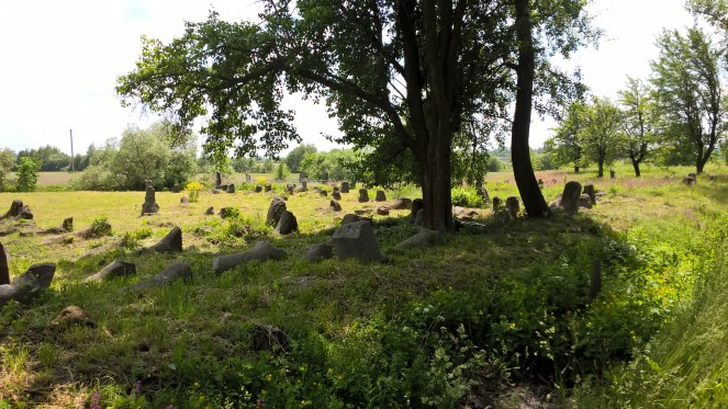 wp_20160529_13_40_51_pro