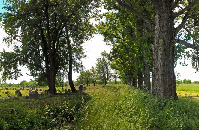 wp_20160529_13_41_06_pro panorama