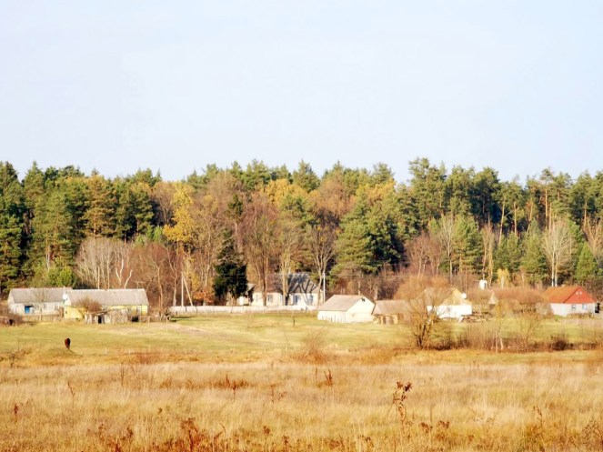 2019-12-01 22.17.37.jpg