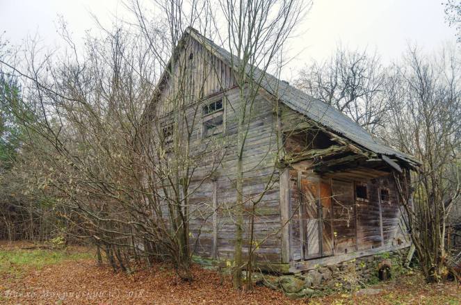 48409202_1164906733672910_7907671602442010624_o